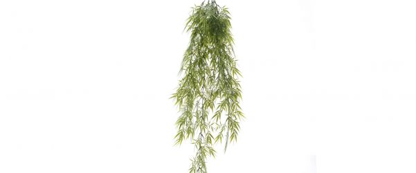 Bamboo Plastic Hanging Bush 