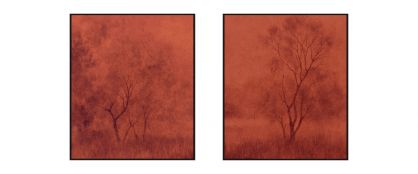 Autumn Rust Duo Set Of 2 Each Wall Art 120cm x 140cm