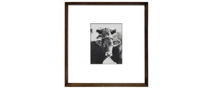 Callum Walnut Wooden Gallery Frame - 48cm X 48cm X 3cm