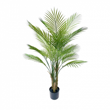Areca Palm Tree With Pot - 120cm