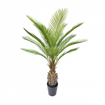 Deluxe Thatch Palm Tree With Pot - 150cm