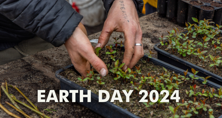 Earth Day 2024 | Celebrating Hometree & EZ Living Interiors Partnership