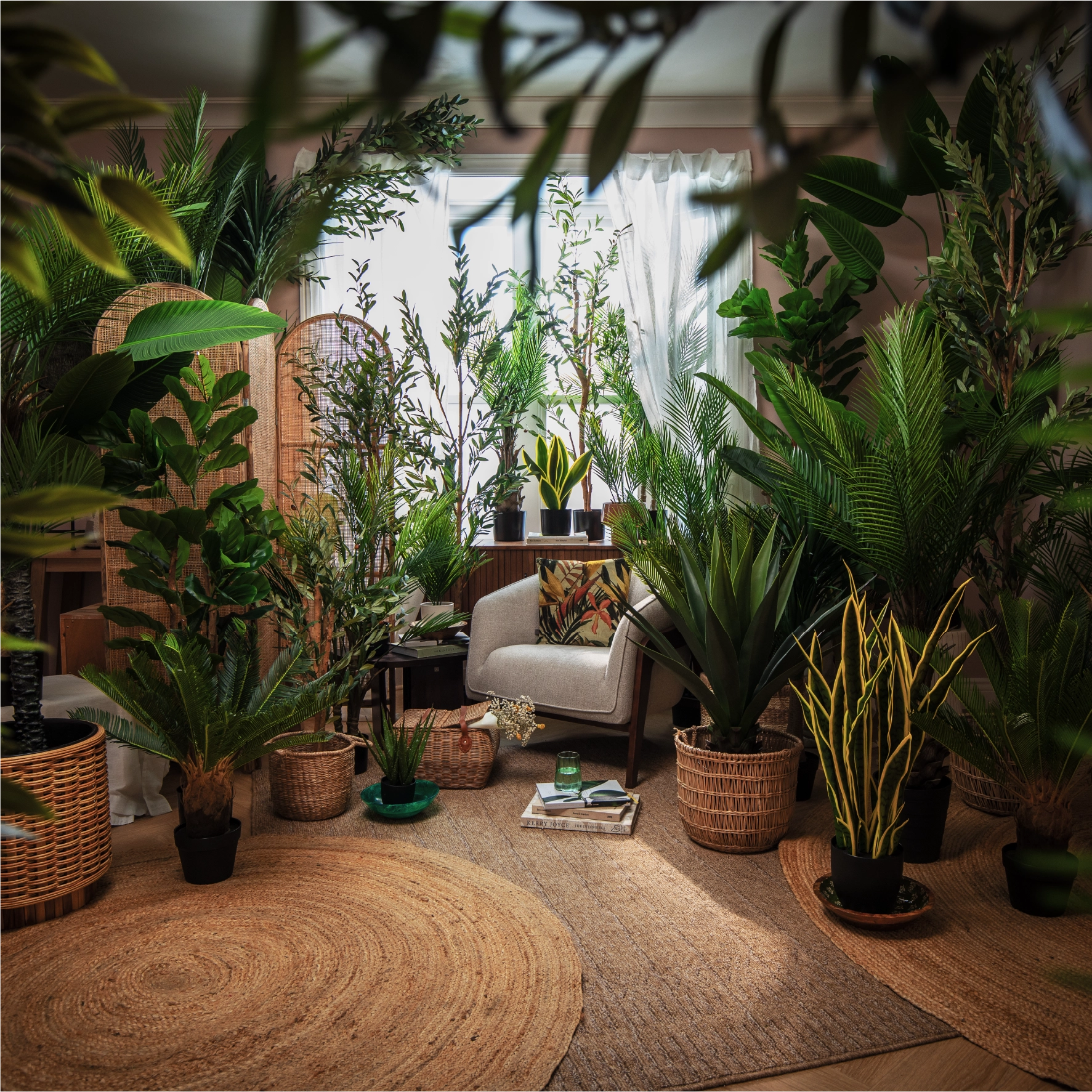 The Plant Market
