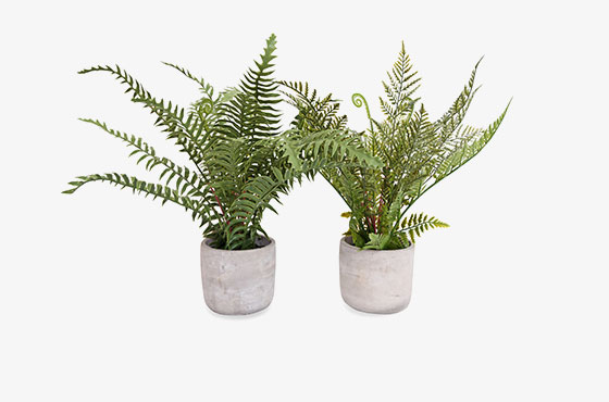 Artificial Fern Pot