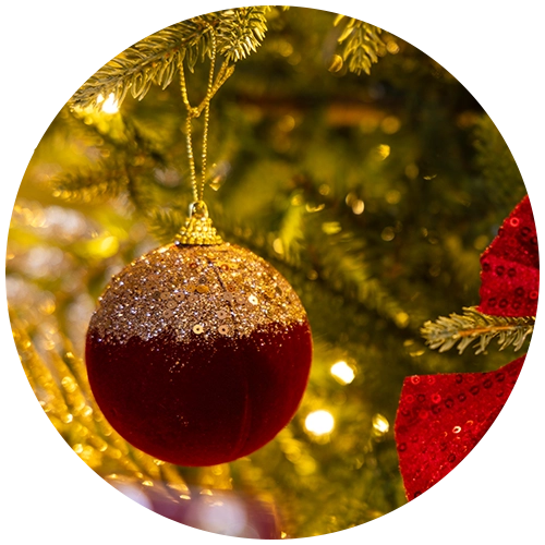 Christmas Tree Floristry